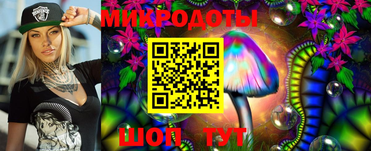 Галлюциногенные грибы Psilocybe  Вход с VPN  Тула 